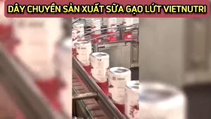 Khay 24 Lon x 240ml - Sữa Gạo Lứt VietNutri - Thơm Ngon Ít Ngọt