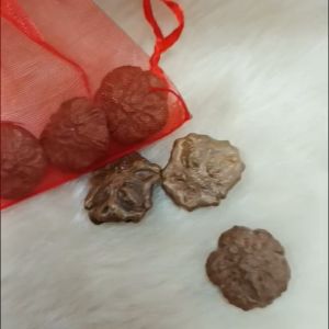 Gumamela Celis 3pcs Pampasuwerte sa Negosyo w/ free pouch