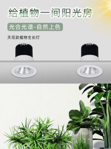 Imitation Sun Full Spectra Green Plant Wall Growth Downlight Indoor Home Succulent Fill Light Embedded LED Ceiling Spotlight