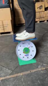 KODENKI KDK-TMV30K/60K TIMBANGAN DUDUK VIETNAM PEGAS JARUM 30KG 60KG KITCHEN SPRING SCALE TIMBANGAN BUAH DAGING SAYUR