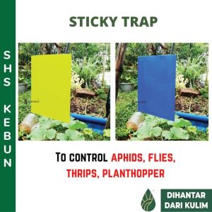 Sticky Trap for Garden Pest Control Double Sided 20 x 25 cm Suitable for White Flies Aphids etc