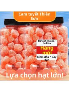 Rock Sugar Licorice Dried Kumquat 500g Can Candied Fruit