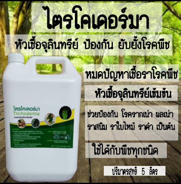 ไตรโคเดอร์มา 5 ลิตร กำจัดเชื้อราโรคพืช