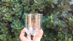 8oz/230ml Groove Tumbler/Whiskey/Juice/Beveled Glass Tumbler