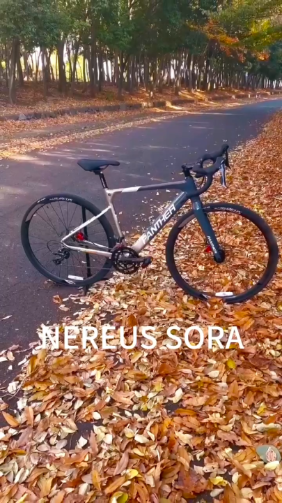 PANTHER NEREUS Series Adult Road Bike Wind Break SHIMANO 18-speed