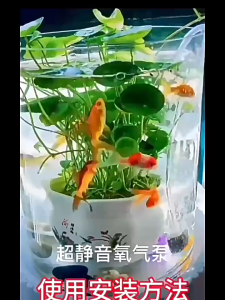 Aquarium Oxygen Pump Adjustable Speed Ultra Quiet Mini USB Fish Tank Air Aerator Mute Energy-saving