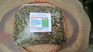 100g cây cơm cháy sấy khô