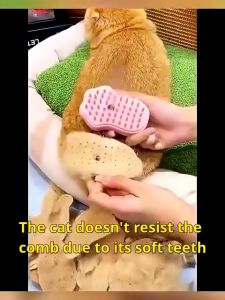 Electric 3 in1 Cat Steamy Brush Cat Hair Removal Brush Gentle Pet Spray Massage Comb for Pet Cat Cleaning Supply