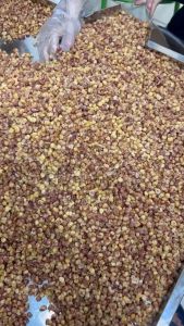 [Hàng Loại 1]Ngô nếp nương tím rang củi Điện Biên vị bò lá chanh vị sóc mắm vị cay vị mật ong ngô mộc gói 500g