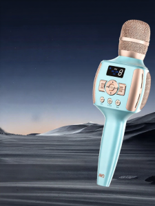 MEINIAO | Wireless Bluetooth Karaoke Microphone Speaker All-In-One