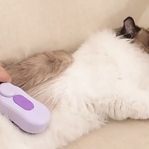 Bàn chải hơi nước (Lược đa năng ) lấy lông dễ dàng dành cho chó mèo - T3 PETS SHOP