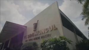 SIDOMUNCUL JAMU SAKIT PINGGANG 10 SACHET OBAT BOYOK BOYEKEN SEBELAH KIRI KANAN BELAKANG PEGAL NYERI PRIA WANITA PELANCAR AIR KENCING