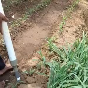 ALAT BANTU PENABUR PUPUK PADAT / GRANUL DARI BAHAN PVC BERKUALITAS