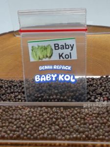 Benih Cuciwis / Baby Kol Unggulan berkualitas bayi biji bunga kubis bibit hydroponik hidroponik sayuran tanaman sayur