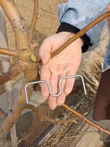 M 型果树别枝器 M Shape Tree Branch Spreader Steel Wire Plant Branches Support Holder Gardening Tools Fruit Tree Branch Puller
