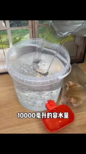 AimayaPet ถังดื่มสัตว์เลี้ยง น้ำพุแมวสัตว์เลี้ยงอัตโนมัติ แบบใส เงียบมากความจุใหญ่ น้ำพุแมว 10L