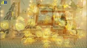 LED Rose Flower String Lights: A Guide for Your Valentine's Day & Wedding Decor