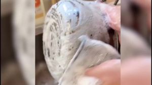 Khăn Lau Chén Bằng Thép Không Gỉ 3 Lớp Không Trầy Xước Thân Thiện Với Môi Trường Có Thể Tái Sử Dụng Vật Dụng Cần Thiết Cho Việc Vệ Sinh Nhà Bếp