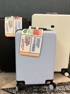 Ultra-Light Luggage Suitcase with Four-Way Wheels for Travel Womens Check-In Bag 20 Inches Silent Pull Rod Suitcase