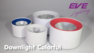 EVE โคมไฟ โคมติดเพดาน ดาวน์ไลท์ แอลอีดี LED โคมไฟติดเพดาน โคมติดลอย รุ่น COB colorful 15w 30w แสงขาว / แสงเหลือง