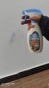 Wall Mould Removal Set | Mould Remover Spray + Moisture Absorber for Home
