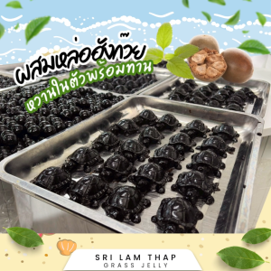 เฉาก๊วยพี่เต่าตัวโต เกรดพรีเมี่ยม