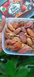 Al Fath Palm Dates - Kurma Tunis Tangkai Toples Segar Lembut Rasa Khas 500gr
