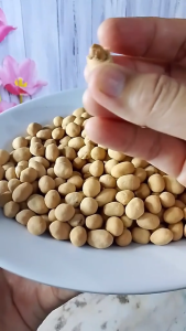 (GRATIS ONGKIR) Kacang Telor 1kg