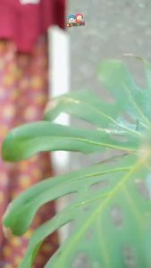 Jilbab Anak Instant Amira & Hijab Raggakids Bahan Jersey Soft - Pastan Jilbab Sekolah Anak TK SD SMP