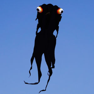 Kite Children Goldfish Skeleton-Free Breeze Easy to Fly Adult Adult New Anti-Wind Umbrella Weifang Beginner