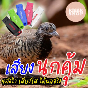 เสียงต่อนกคุ้ม เมมเสียงนกคุ้ม แฟลชไดร์ฟเสียงต่อนกคุ้ม มีเก็บเงินปลายทาง
