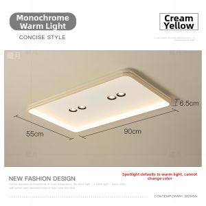Minimalist Modern Secondary Ceiling Light