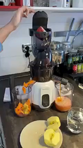 Máy ép chậm Moulinex ZU600110 – Ép kiệt vận hành êm bảo hành 12 tháng