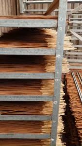 Nhang quế thơm cao cấp Dương Minh 20cm/30cm/40cm nhang thơm từ vỏ thân cây quế