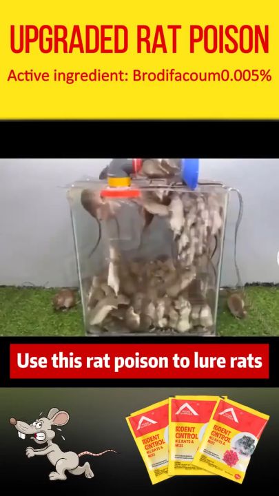 Rat Killer Mouse Poison Rat Die Outdoors Effective Mice Killing Poison ...