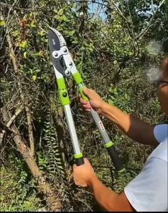 กรรไกร กรรไกรตัดกิ่ง กรรไกรแต่งกิ่งไม้ ปรับความยาวได้ 5 ระดับ ยาวถึง 105cm. ตัดกิ่งไม้สูง ด้ามยาว ตัดแต่งกิ่งไม้ อุปกรณ์ทำสวน ใบมีดแข็งแรง ใช้งานง่าย