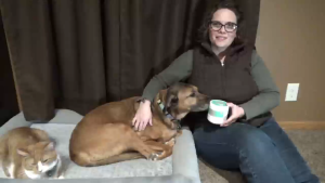 Probiotic Powder for Dogs & Cats 10 Billion CFU Dog Probiotic Powder with Digestive Enzymes & PrebioticsP for Digestive Health Immune Support Diarrhea Gas & Loose Stool