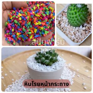 500 กรัม หินโรย คุณสมบัติของแบบล้าง ดินปลูกไม้น้ำ ดินตู้ปลา หินตู้ปลา หินตกแต่งตู้ปลา หินกระบองเพชร หินธรรมชาติ หินเกล็ด หินโรยแค่คุณสมัคร