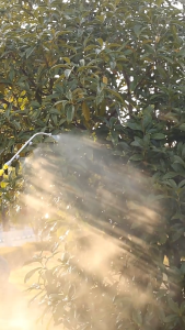 หัวก้านพ่นยา ก้านพ่นยาสแตนเลส 3หัว / 4หัว / 5หัว / 6หัว ก้านเครื่องพ่นยา ก้านถังพ่นยา สแตนเลส พ่นยา อะไหล่เครื่องพ่นยา