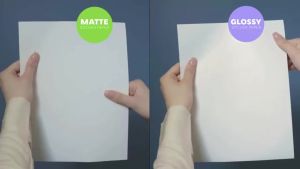20 Tờ Giấy Dán Vinyl Trắng Mờ Khổ Letter 8.5 X 11 Tương Thích Với Máy In Phun Tự Dính Chống Thấm Nước Có Thể In Được