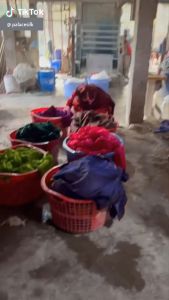 Vải Lụa Tơ Tằm Palacesilk hoa cải xanh may áo bà ba áo dài