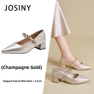 Josiny | Vintage Elegance Mary Jane Style Pointed Toe Chunky Heels Shoes