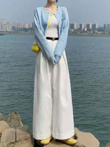 Quần Ống Rộng Xếp Ly Cạp Cao Cho Nữ Mùa Xuân 2024 Phong Cách Hàn Quốc Quần Dài Thường Ngày Rộng Rãi Thoải Mái