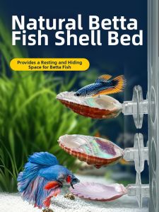 CHONGXIAOSHUAI | Rest and Spawn Hideaway Bed Decorative Aquarium Ornament