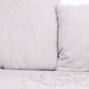 1*PCS Effective Pet Hair Remover Brush For Cats And Dogs - Gently Shaves Wool And Cleans Fur For A Neat And Tidy Home