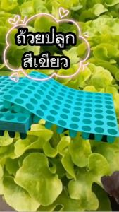 ถ้วยปลูกเขียว แพ็ค 5 แผง = 400 ถ้วย