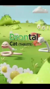 【 Buy 3 Get 1 Free】Drontal Plus Dewormer Tablets for Dogs - Effective Worm Treatment for Puppies & Adult Dogs