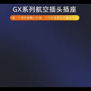 Risym | Cổng Kết Nối Hàng Không GX16