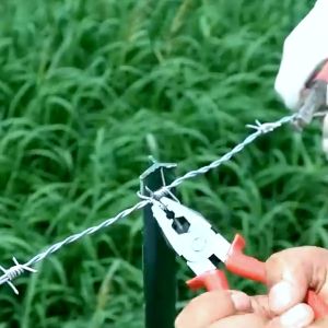 BARBED WIRE FENCE ANTI-CLIMB ANTI-RUST DOUBLE STRAND ELECTRO GALVANIZED/HOT DIPPED GALVANIZED FENCE 2.0mm 2.5mm WIRE #12 WIRE#14 / SECURITY FENCE / ANTI-THEFT FENCE / PROTECTION FENCE