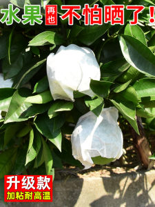 เทปกันแดดสตรีท อุปกรณ์เสริมสำหรับอุปกรณ์การศึกษาดิจิทัลและธุรกิจ วัสดุเทป ฟิสิกส์และเคมี ชื่อแบรนด์ เรืองศักดิ์สิทธิ์